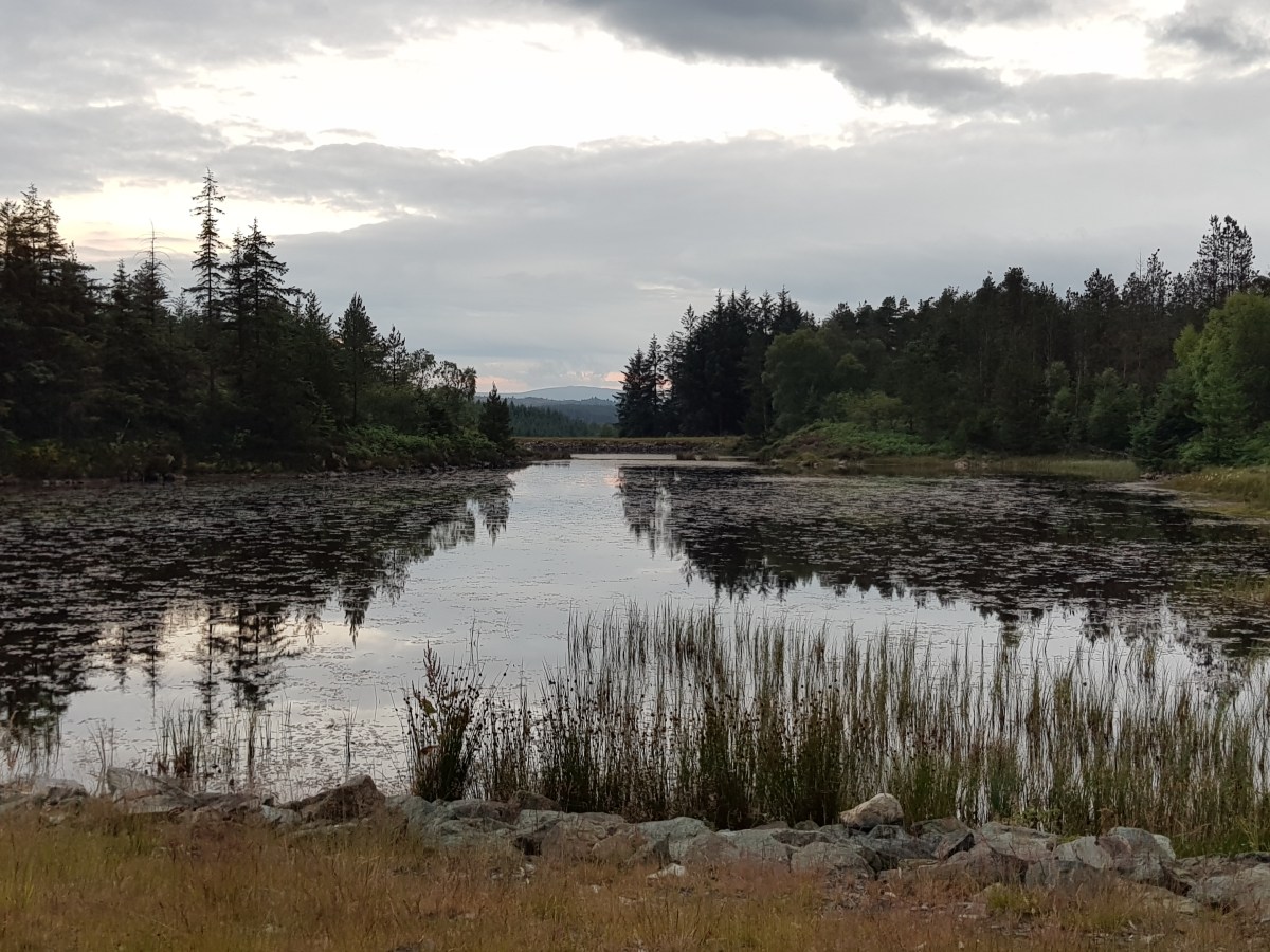 Taking the books for a&nbsp;walk